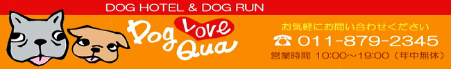 hbOzehbOwDog Love Quax