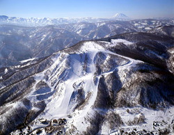 クリック☆【小樽・天狗山スキー場のHP】へジャンプ! クリック☆【小樽・天狗山スキー場のHP】へジャンプ!
